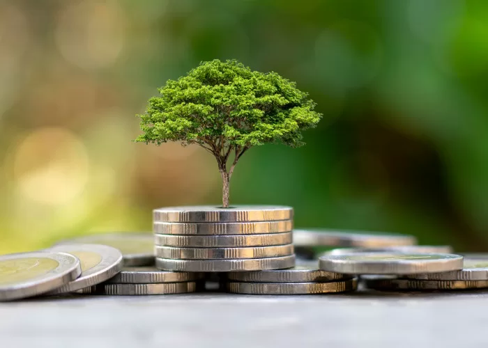 5 WAYS TO SAVE MONEY 6 5 WAYS TO SAVE MONEY
