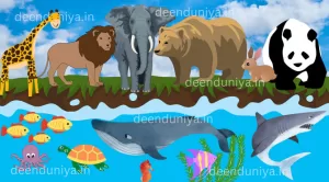 INTERNATIONAL BUSINESS 8