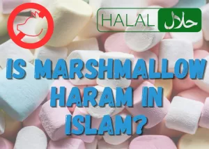 Is Marshmallow Haram (forbidden) In Islam